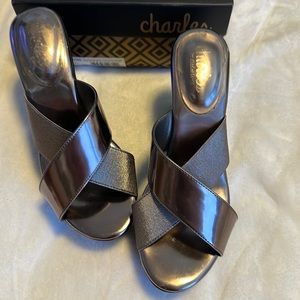 Charles David Women’s Wedge Sandals